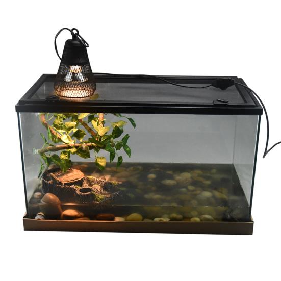 Гибкий зажим для рептилий, тепловой абажур, регулируемая яркость, температура, таймер, обогреватель для курятника, защита для курицы, ящерицы, черепахи