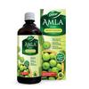 Dabur Чистый сок Амлы, бутылка 1 л. Натуральный напиток из индийского крыжовника. Богатый источник витамина С. Травяной напиток для здоровья.
