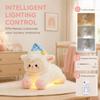 Remote Control Hanging Night Light Hanging Design Ambient Decor Lamp Cute Sleep Light Indoor