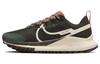 Женские кроссовки для трейлраннинга Nike Pegasus Trail 4 Sequoia Guava Ice DJ6159-300