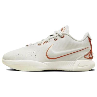 Кроссовки LeBron 21 EP "Akoya" FV2346-001