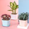 Цветочные горшки Прочные антидеформационные утолщенные легкие пластиковые сочные растения