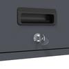 Wall Mounted Garage Cabinet with Gas Spring Door Anthracite