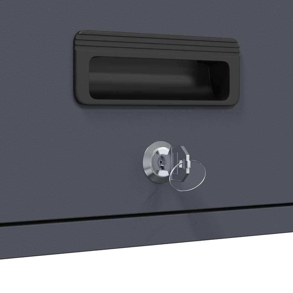 Wall Mounted Garage Cabinet with Gas Spring Door Anthracite