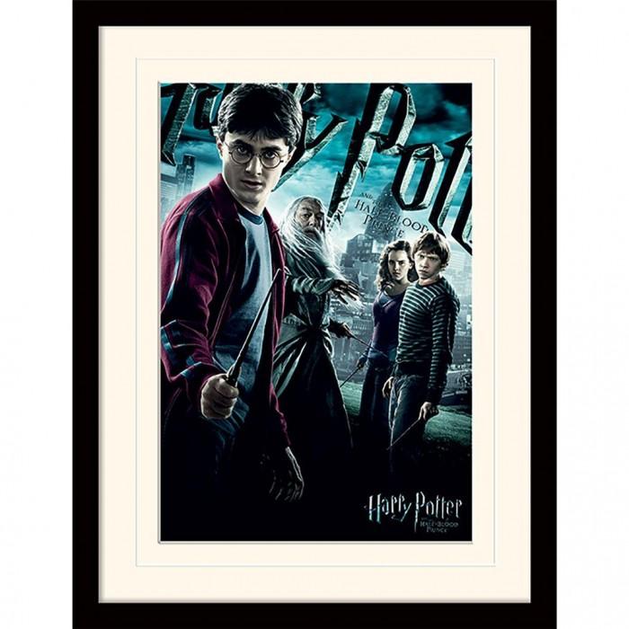 Гарри Поттер и Принц-полукровка, напечатанный на холсте