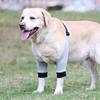 Dog Leg & Elbow Injury Protector Knee Pads - Cold-Proof, Warm, Protective Gear for Pets