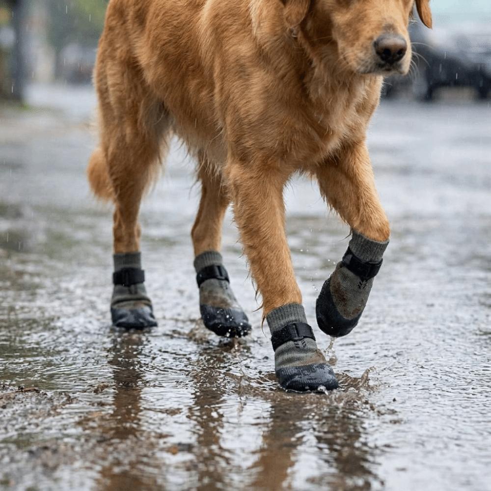4PCS Wear Resistant Waterproof Dog Socks Shoes Dirt-Resistant Dog Paw Protector  Home