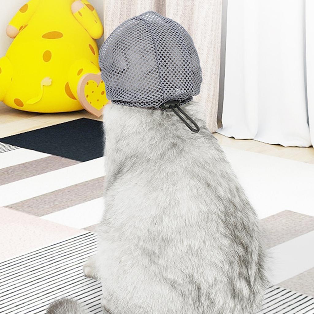 Прозрачные намордники против укусов для кошек и маленьких собак во время стрижки когтей для безопасного ухода и защиты владельцев