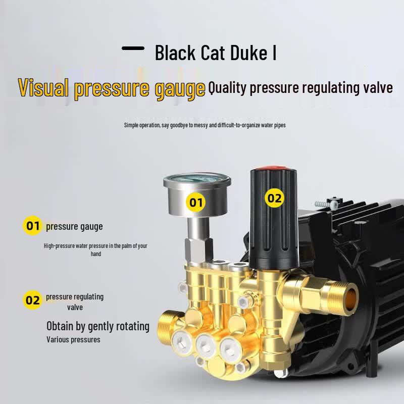 Автомойка высокого давления Black Cat Duke 220В Штепсель CN (адаптер в комплекте)