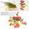 Bite Resistant Wood Star Chewing Toy Colorful Design Parrot Wood Toy  For Small Parrots