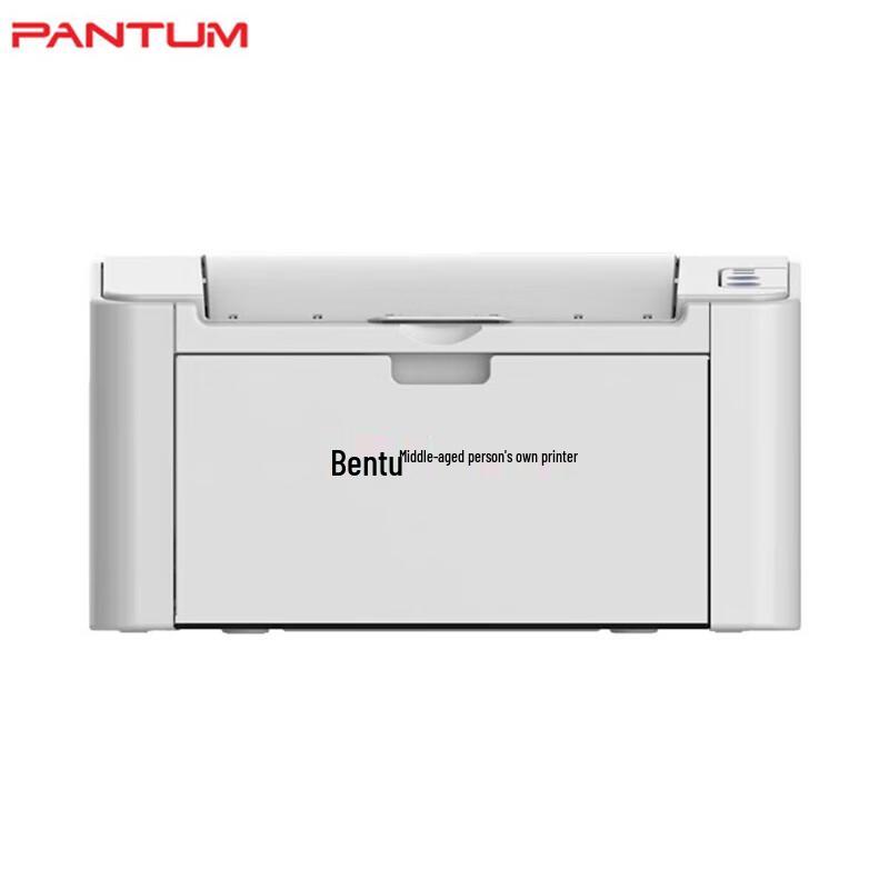 Pantum P2516 A4 Черно-белый лазерный принтер Штепсель CN (адаптер в комплекте)