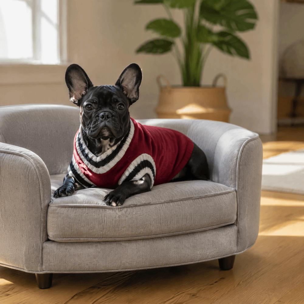 V-Neck Dog Knitted Vest Three Dimensional Tailoring Pet Knitting Clothes Pet Knitwear Chinchilla