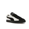 Puma Atmos X Jeff Staple X Suede Pigeon and Crow 2023 Men Sneakers Cream 390478-01