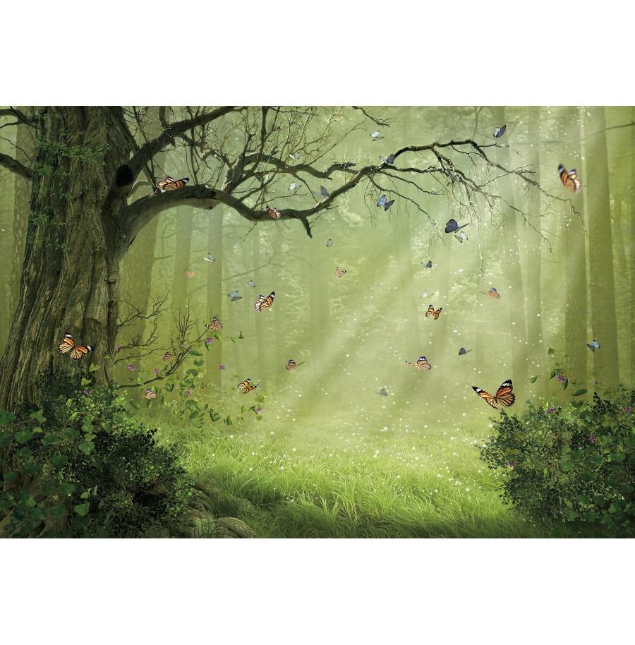 Dream Natural Forest Background Screens, Butterflies, Fairies, Mushrooms, for Children's Parties, Portrait Photography