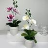Компактный дизайн Искусственное растение-цветок Фаленопсис Бонсай Легко стилизовать