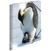 Herma Elasticated Glossy PP Folder A3 Animals (Penguins)