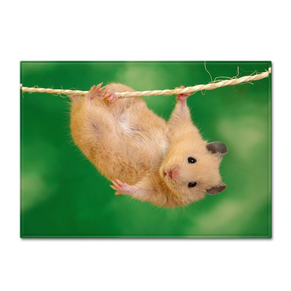 Животное Большой Ковер Перо Ветер Спальня Напольный Коврик