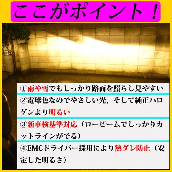 LMMC Цветная светодиодная фара H4, совместимая с техосмотром транспортного средства LHP19, теплый цвет, легко видно в дождь или снег Hi/Lo