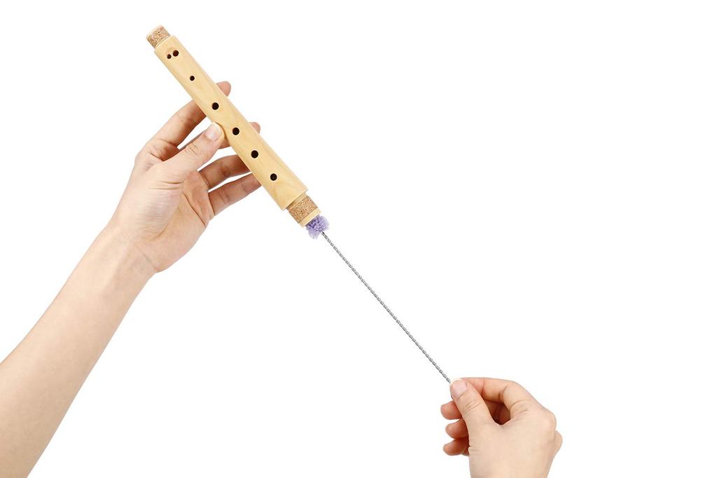 Eastar Soprano Recorder Maple C Tone Elementary School with Case Care Set for Beginners & (German Style) ERS-31M