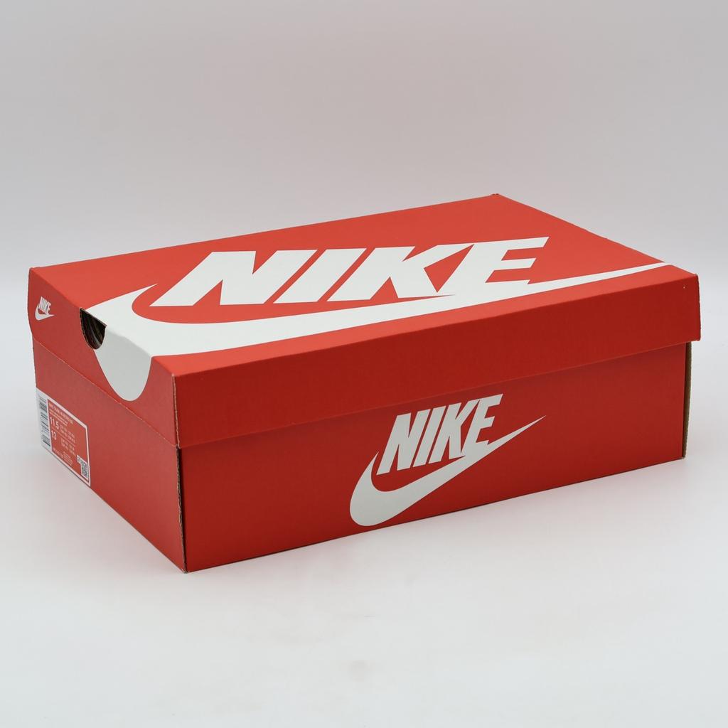 HF3143-700 Nike Dunk High Retro SE Michigan (Мужской)