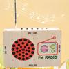 Steam Model Science Education Radio Handmade DIY Scientific Training FM Radio  for Home