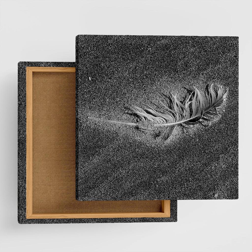 Feather Monochrome Fabric Wall Art Panel, 57 x 57 cm