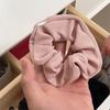 Anti-Theft Scrunchie with Hidden Pocket Elastic Hair Band Trendy Ponytail Holder  Women Girls