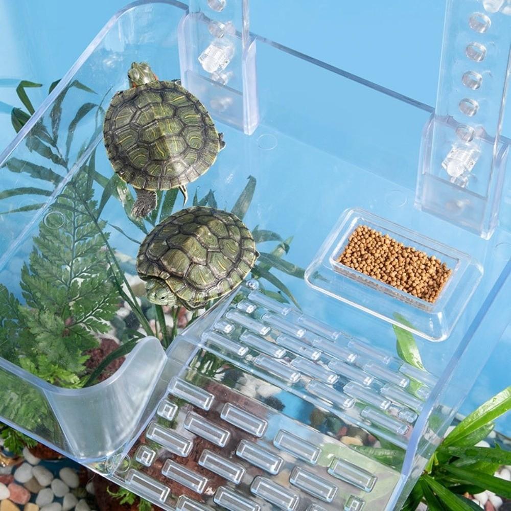 Transparent Tortoise Climbing Basking Platform  Aquatic Turtles Terrace