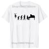 Funny Evolution T Shirt Pianist Piano Instrument Summer Graphic Streetwear Short Sleeve Birthday Gifts T-shirt Mens Clothing