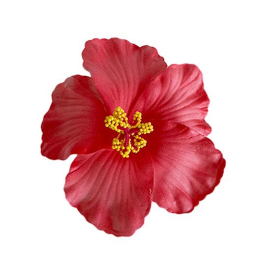 Hairpin Soft Strong Texture Lightweight Decorative Flower Hair Clip Realistic Flower Design Holiday Leisure Hair Pin