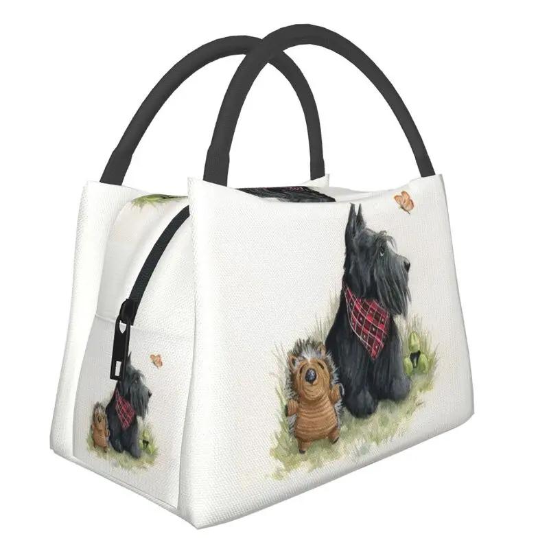 Шотландский терьер наблюдает за бабочкой, изолированные сумки для ланча для женщин, шотландская собака, портативный охладитель, термоконтейнер для еды, ланч-бокс