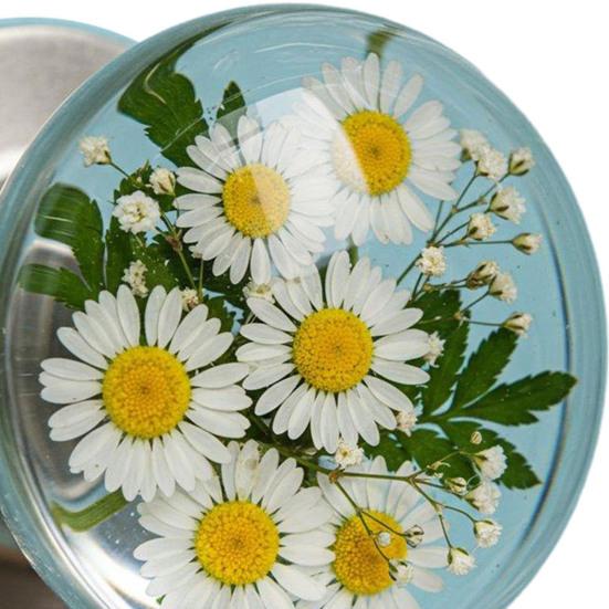 Декоративная дверная ручка круглая прозрачная цветок животное дверная ручка вдохновленная природой фурнитура для замены ручки двери дома офиса благоустройство дома