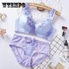Elegant Luxury Romantic Bra Set For Women Trace Lace Push Up Sexy Underwear Sets Bra And Panty Set