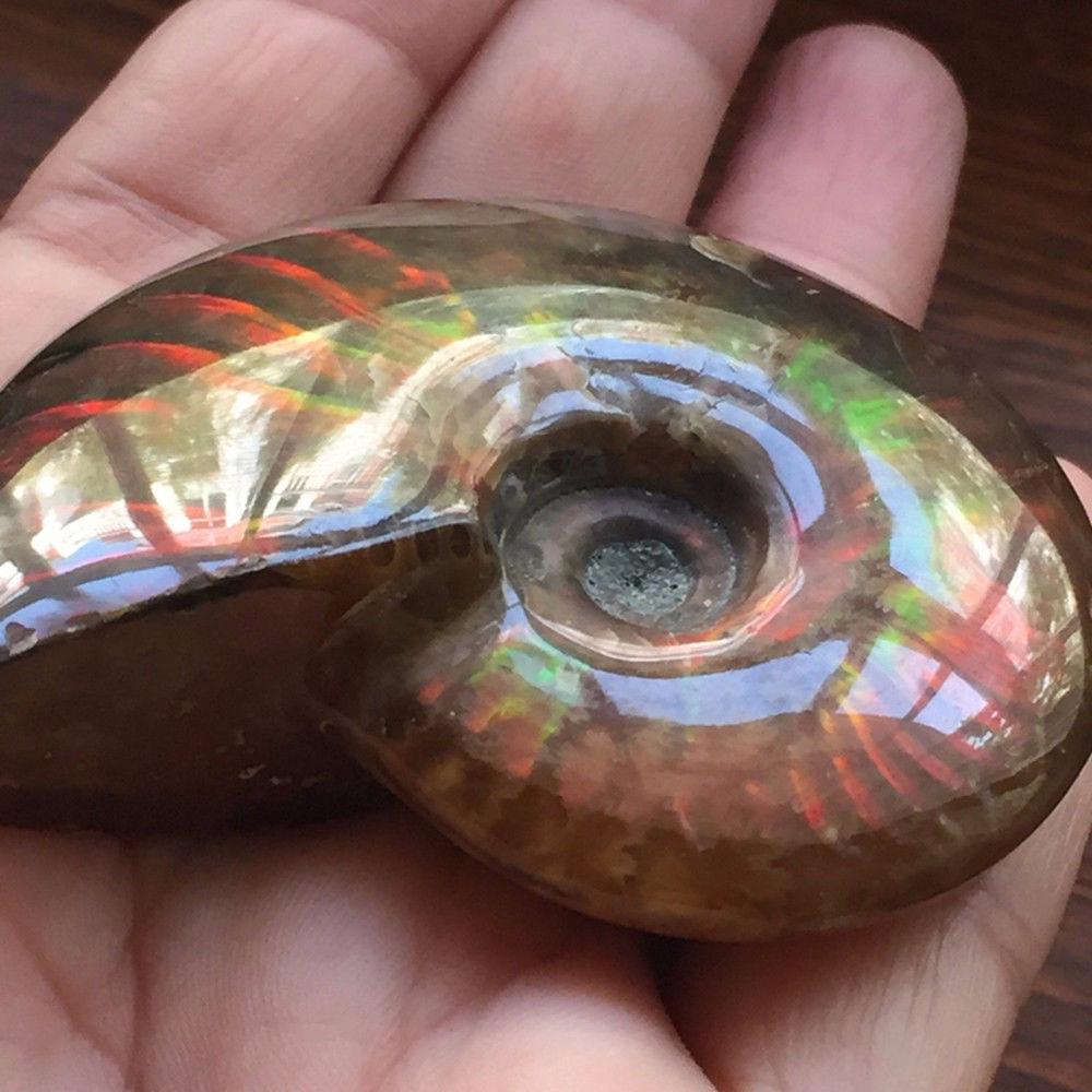 Gemstone Crystal Specimen Fossil Ammolite Facet Natural Iridescent Ammonite Madagascar Stone