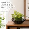 Moss ballfake greenJapanese styletabletop interiorartificial foliage plantno watering neededentranceliving roomstore receptionindoor use (wire plants
