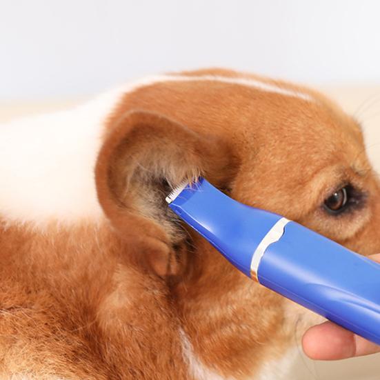 Машинка для стрижки собак, набор для груминга с когтерезкой 4 в 1, беспроводной электрический триммер для собак, кошек, малошумная USB-зарядная бритва для лап домашних животных