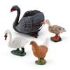 Simulation Mute Swan Black Swan Hen Duck Farm Poultry Chicken Duck Goose Decorative Model Static Ornament
