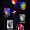 Портативные инфракрасные датчики Портативный тепловизор 2,8 дюйма 240*320 TFT-дисплей 640*480 Видимый свет