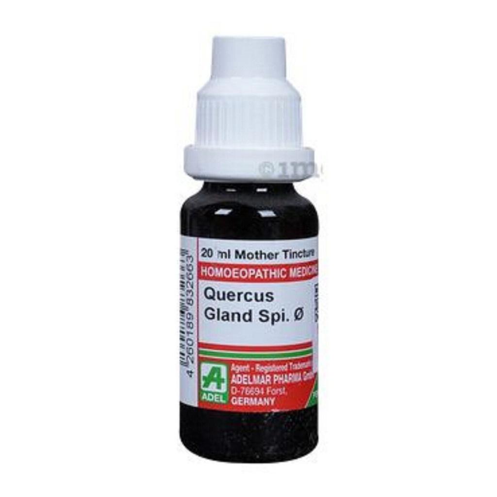 @ ADEL Quercus Gland Spi Q Homoepathic Medicine 20 ml V724 UKR1183_60%OFF