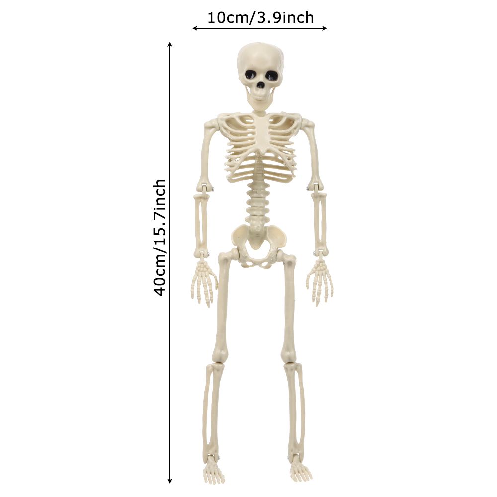 DIY Party Decoration Hanging Halloween Scary Props Human Skeleton Poseable Size