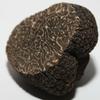 Mycelium of Black Truffle from Périgord Mushroom Growing Kit