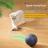 Smart Interactive Cat Toy Ball: Automatic, Bite & Scratch Resistant, Self-Play Boredom Relief with Mouse Design