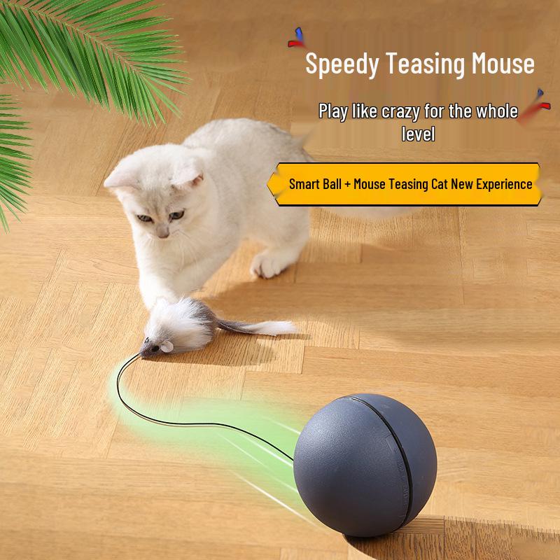 Smart Interactive Cat Toy Ball: Automatic, Bite & Scratch Resistant, Self-Play Boredom Relief with Mouse Design