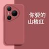 Применимо к чехлу для мобильного телефона Huawei P11PROMAX персонализированный матовый ретро-люкс силиконовый простой модный бренд креативность