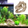 Simulation Fish House Cave Decorative Dinosaur Resin Skull Dinosaur Skull  Terrarium Decoration
