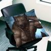 Alpha Sigma Wolf Cool Pillow Case For Sofa Decor Car Office Room Printing Cushion Cover Decorations and Protector