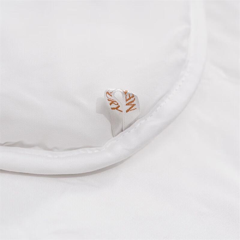 Mercury Home DH Antibacterial All-Season Polyester Quilt