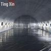 Tingxin Large Outdoor Portable Inflatable Tent