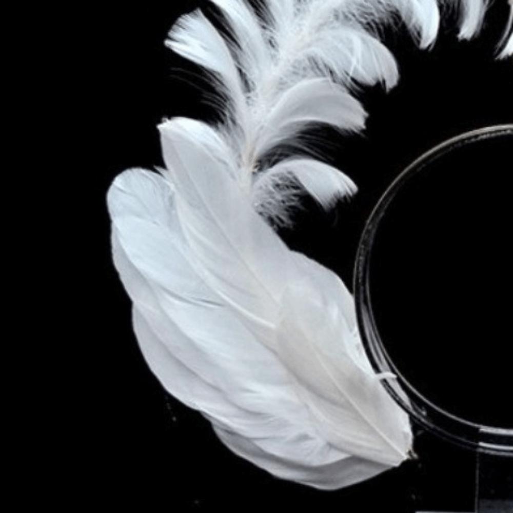 Dress Up Props Feather Halo Crown Headband Double Layer Wing Hair Hoop Christmas Party