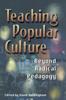 The Teaching Popular Culture : Beyond Radical Pedagogy Book